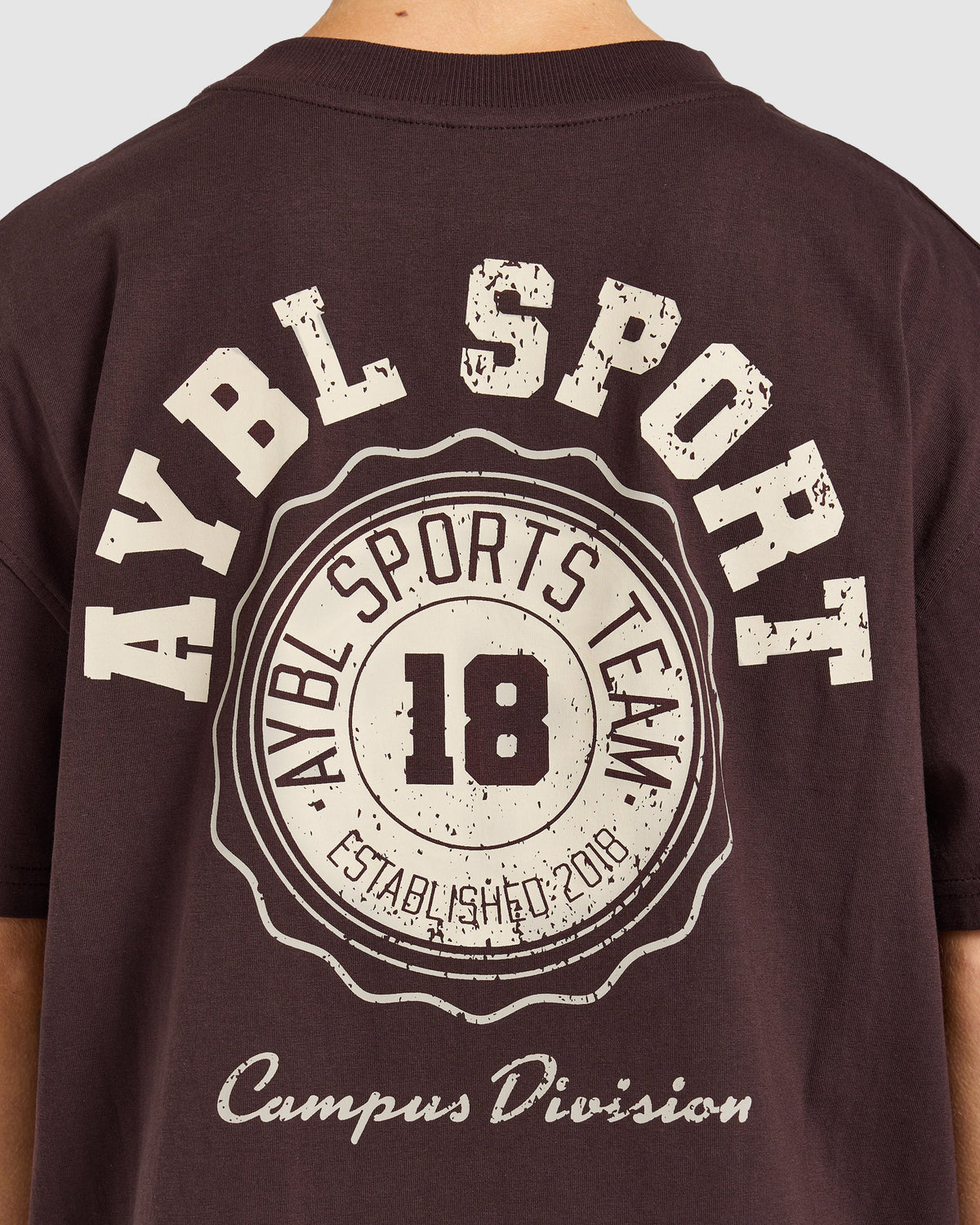 AYBL Campus Division Oversized T Shirt - Cocoa Brown